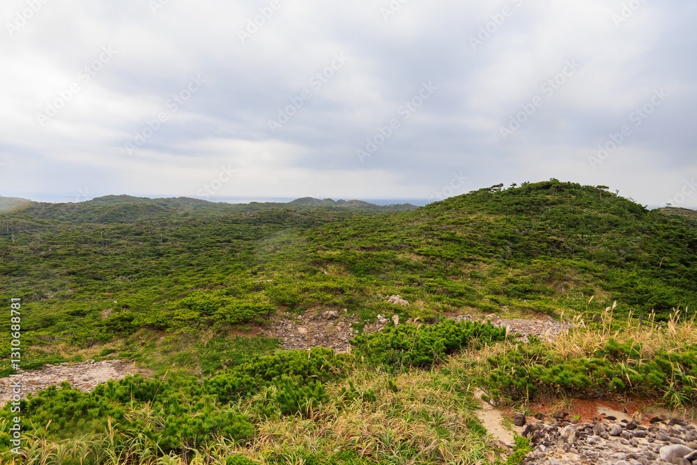 Obraz premium 青い海と緑の森が美しい神引展望台から見る、沖を航行する大型客船（さるびあ丸）と式根島と新島の海。東京都伊豆諸島式根島 -2024 