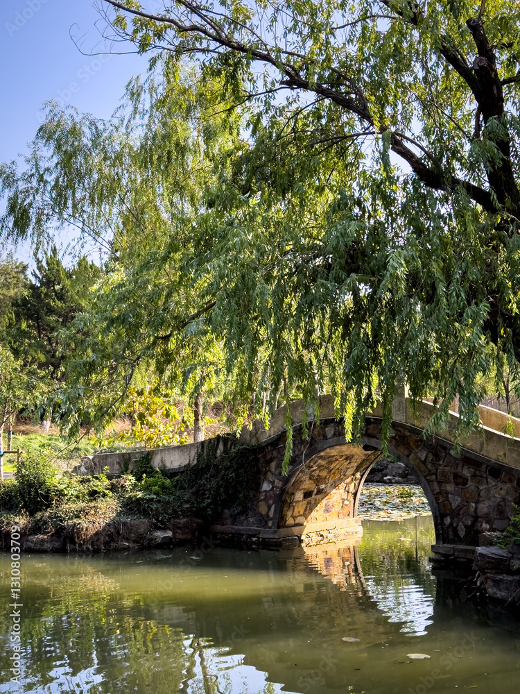 Tranquil Stone Bridge Beneath Weeping Willow in a Lush Park Setting Tranquil Stone Bridge Beneath Weeping Willow in a Lush Park Setting