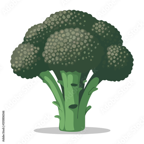 Broccoli vegetable icon Vector on white background.