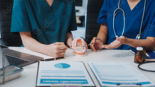 Two Asian female doctors meet at a table in a clinic, with a dentist explaining dental transplantation using a model, discussing treatment, prevention, and patient health for effective oral care photo
