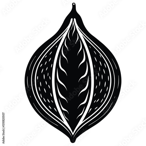 flame of the forest seed pod