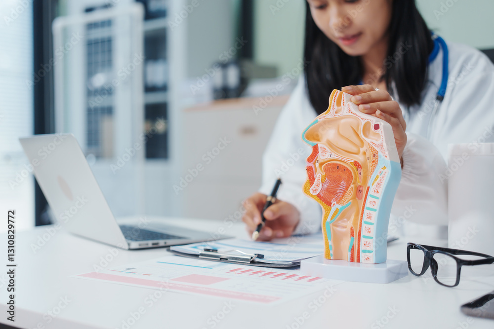 An Asian female doctor uses a respiratory system model while working on a computer, planning treatment,consulting online, explaining respiratory care to patients via a medical video call in a clinic An Asian female doctor uses a respiratory system model while working on a computer, planning treatment,consulting online, explaining respiratory care to patients via a medical video call in a clinic