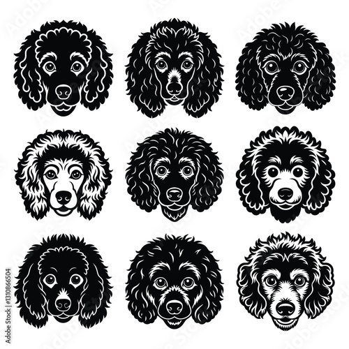 Collection of poodle dog head illustrations with curly fur and various expressions silhouette isolated on white background