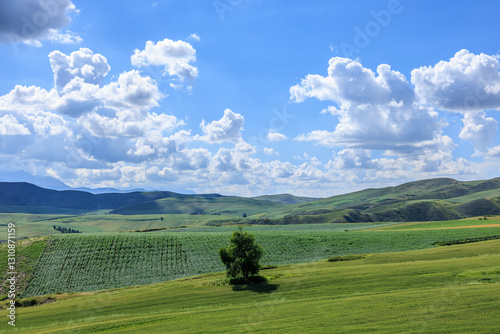 Obraz na płótnie Beautiful green wheat fields and mountain nature landscape on cloudy sky w salonie
