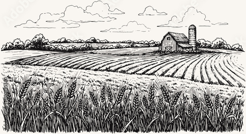 field hand drawing sketch engraving illustration style hand drawing sketch illustration