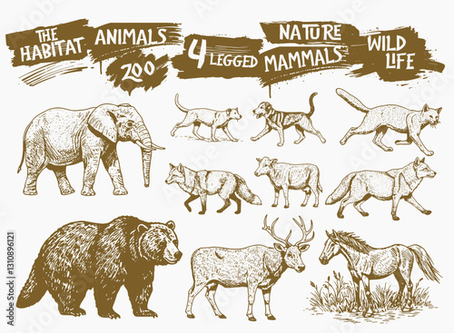A vintage-style hand-drawn illustration featuring various animals, including wild and domestic species