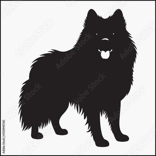 black Keeshond dog, puppy