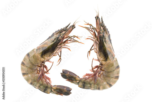 Two Tiger Prawns lined up. on a white background.