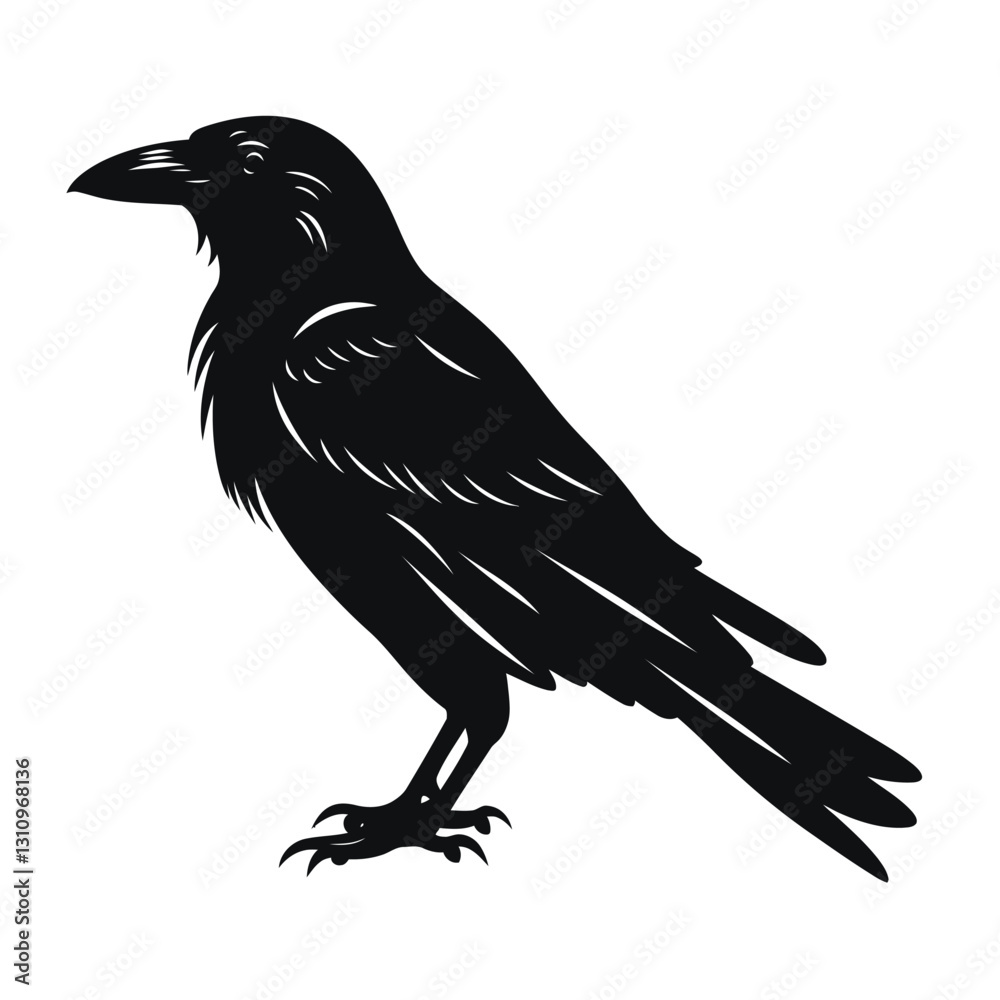 Fototapeta premium black silhouette of a raven