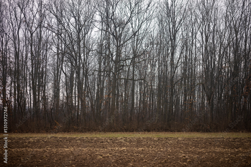 Fototapeta premium Landscapes of the Serbian countryside during winter