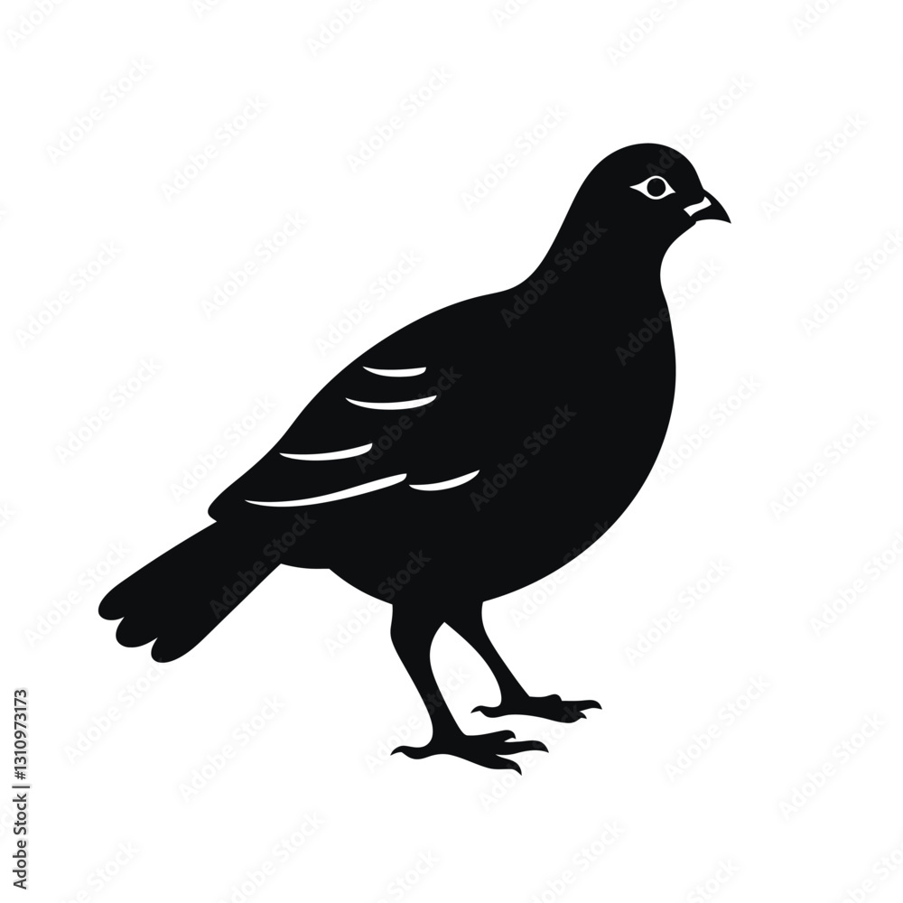 Fototapeta premium black silhouette of a partridge
