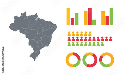 Detailed Map Infographic of Brazil