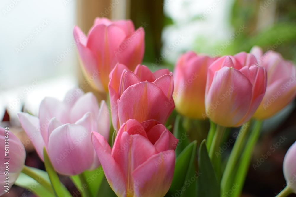 Obraz premium White Snowdrops and Pink Tulips Bouquet, International Women's Day Celebration
