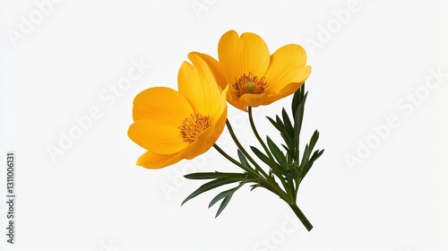 Wallpaper Mural Two vibrant yellow flowers with green leaves isolated on white background. Torontodigital.ca