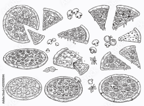 Hand Draw Pizza set with various ingredients in line art vector. Whole and chopped pizza icon