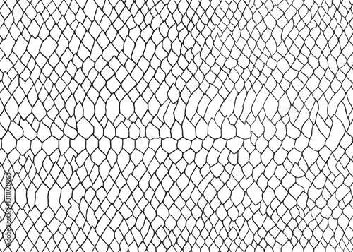 Abstract snake skin pattern design, vector illustration background. wildlife fur skin design illustration.