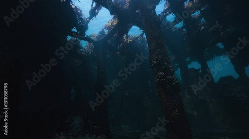 Wallpaper Mural Cinematic oceanography in the dark depths of an old shipwreck with the clear blue ocean peeking through the gaps in the wreck Torontodigital.ca