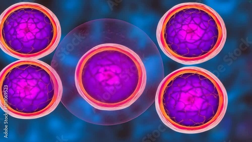 Colorful digital illustration of microscopic cells showcasing vibrant biological processes in science.