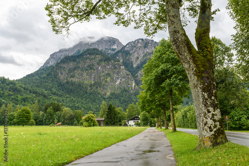 Lush Green Meadows of Hohenschwangau