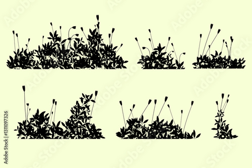 wildflower bush silhouette set