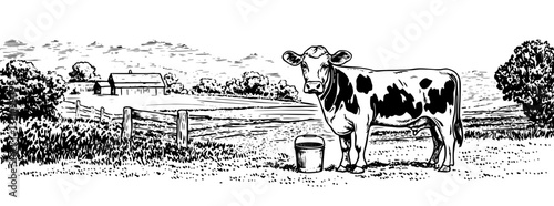 Engraved vector illustration of a cow on a farm with a milking bucket and peaceful rural landscape