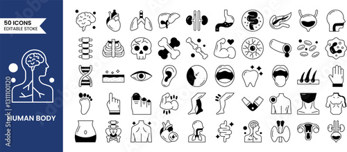Anatomy icons set in duotone style. Containing eye, nose, mouth, ear, brain, head, hand, stomach, heart, kidneys, liver, lungs and more. Human body part and organs. Vector illustration