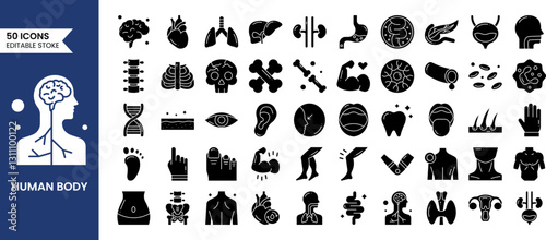 Anatomy icons set in solid style. Containing eye, nose, mouth, ear, brain, head, hand, stomach, heart, kidneys, liver, lungs and more. Human body part and organs. Vector illustration