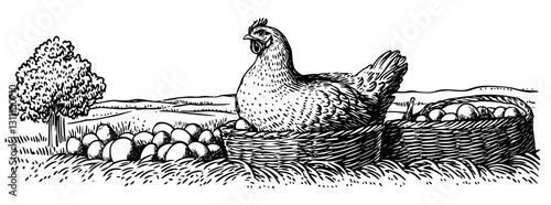 Engraved illustration of a chicken proudly sitting among baskets of eggs in a serene countryside setting