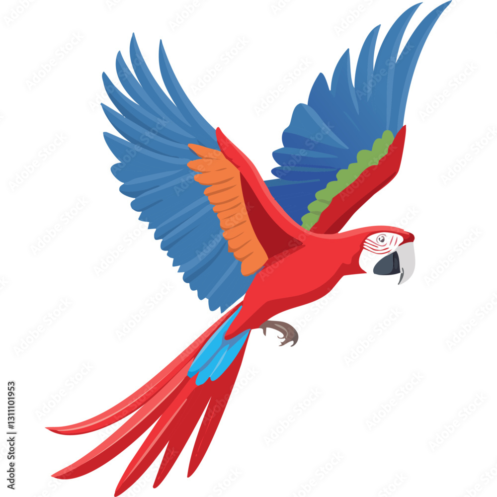 Fototapeta premium Macaw parrot red blue flying vector illustration. Exotic tropical bird on isolated background.