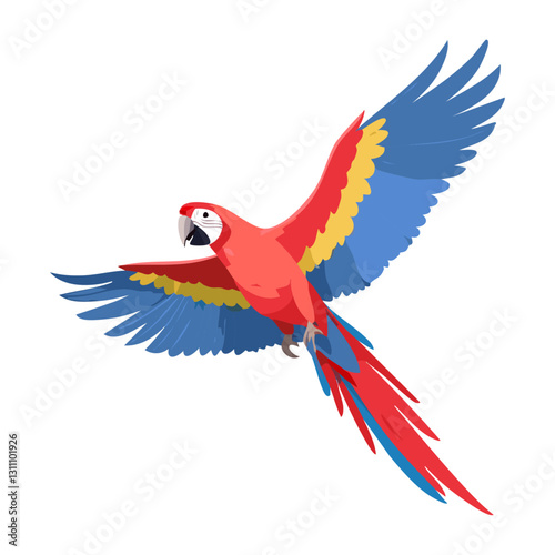 Macaw parrot red blue flying vector illustration. Exotic tropical bird on isolated background.