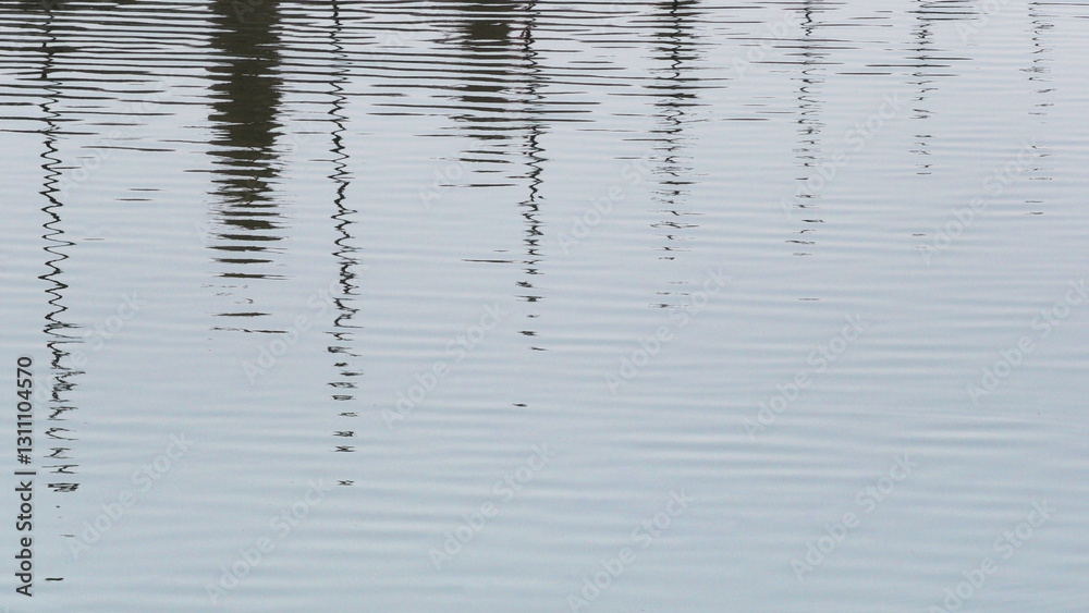 Fototapeta premium The shadows of plants and trees on the pond's surface create an abstract design