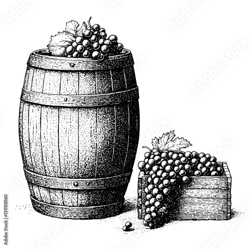 Elegant engraving of a rustic barrel overflowing with grapes beside a wooden crate filled with fresh produce ready for harvest
