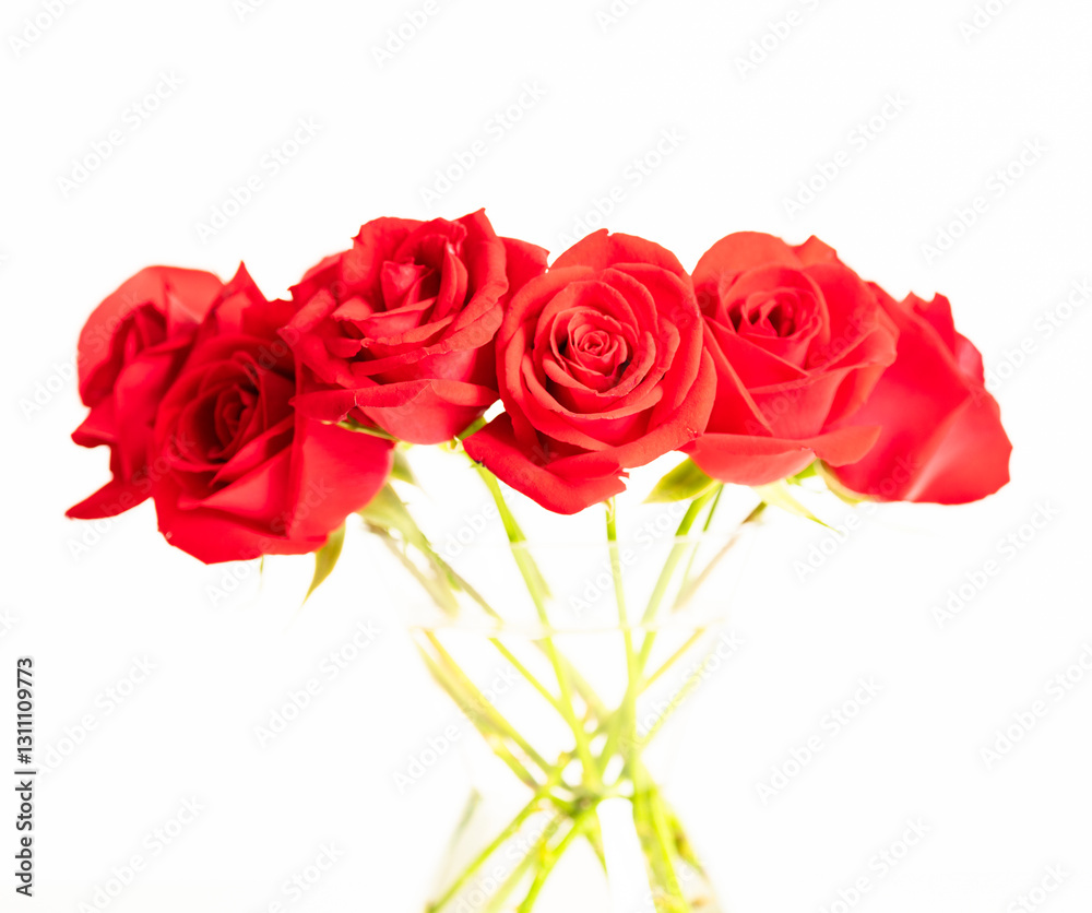 Fototapeta premium Red roses in a glass vase over white background 