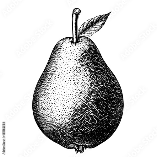 Pear engraving design showcasing intricate details for tattoo or vector use