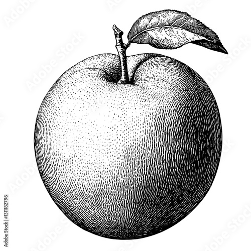 Engraved vector tattoo design featuring a detailed apple illustration with a leaf