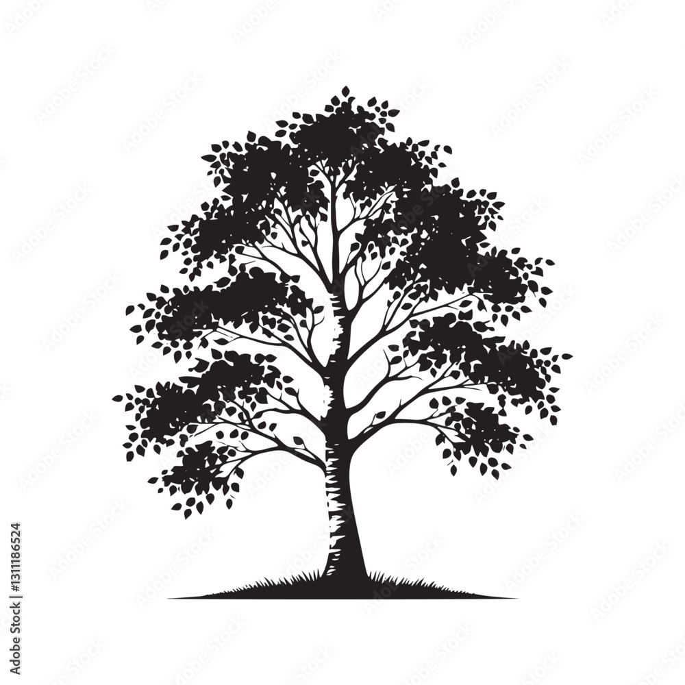 Obraz premium Silhouette of Basswood Tree - Minimalistic Basswood Tree - Basswood tree Vector - Basswood Tree Illustration.