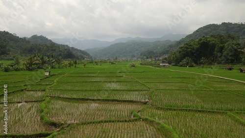 Beautiful Countryside Paddy Fields Surrounded by Mountains Under Cloudy Sky