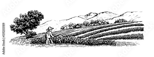 Engraved vector illustration of a farmer observing lush fields and mountains in the background