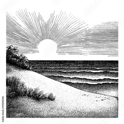 Engraved vector illustration of a serene sunset over the ocean with gentle waves and sandy beach scenery