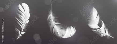 3D feather collection falling on dark gray background. Realistic plumage with delicate barbs from different angles. White downy quills with soft texture. Elegant lightweight floating plumes.