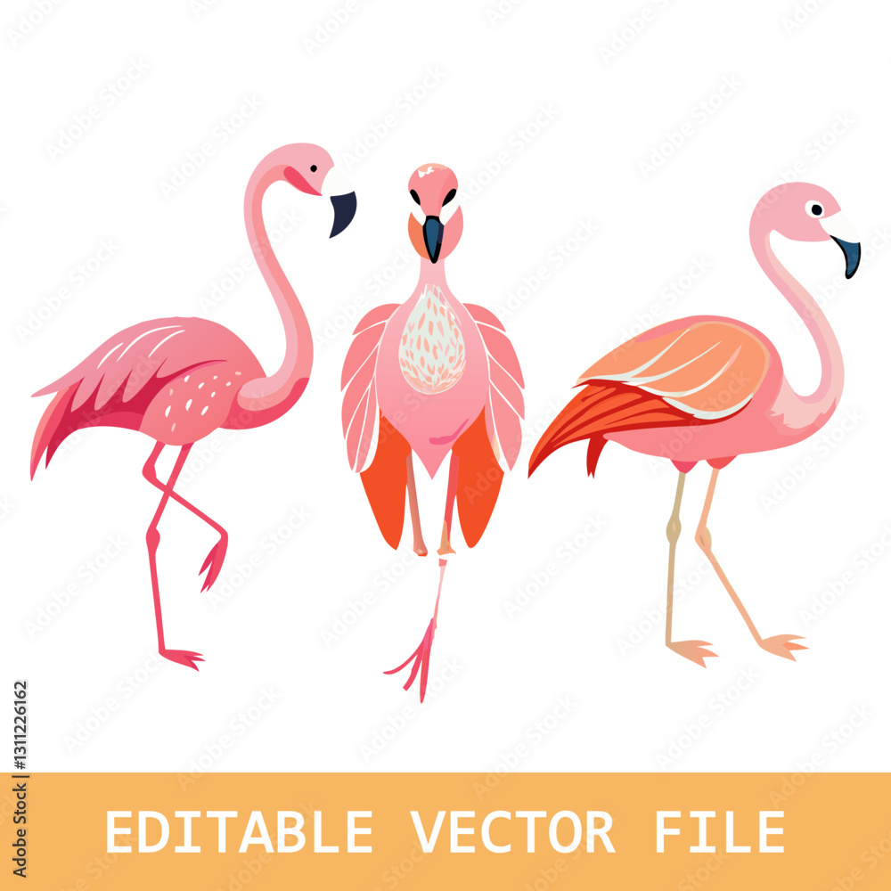 Naklejka premium Set of differents flamingo on white background.