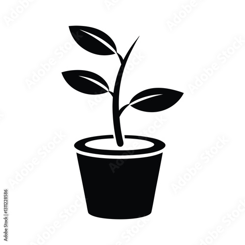plant in pot