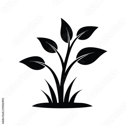 plant in pot