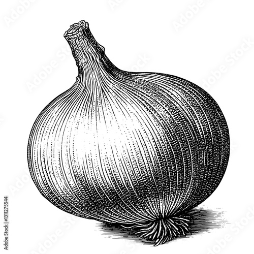 Intricate engraving of an onion showcasing detailed textures and patterns for tattoo and packaging design inspiration