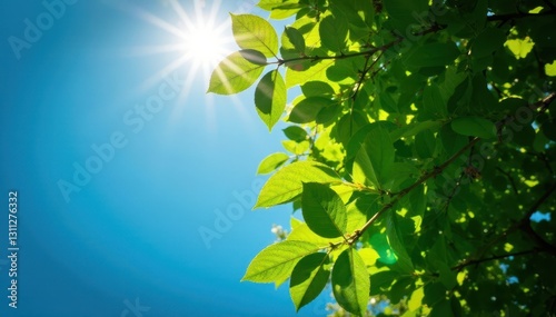 Sunlight dappled through leaves, lush canopy, blue sky Low angle park scene , peaceful, view