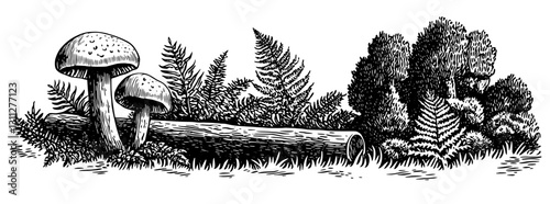 Engraved illustration of mushrooms and ferns in a natural forest setting with intricate details for tattoo and packaging design