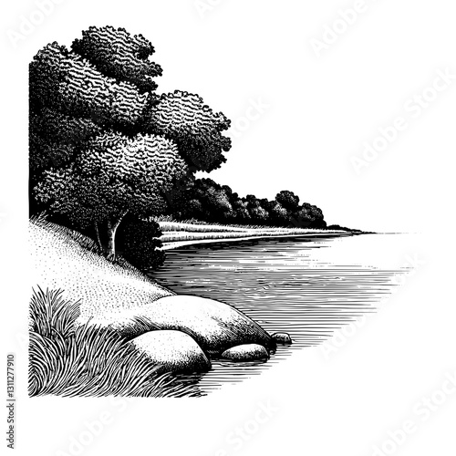 Engraved landscape of a serene riverbank with trees and smooth stones on a tranquil day showcasing exquisite detail in vector art