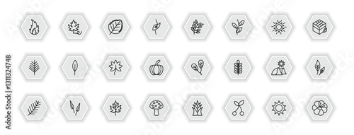 outline icons set - nature concept. vector icons included burning flames, birch leaf, bilberry leaf, magnolia leaf and more.