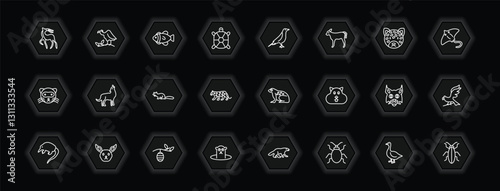 outline icons set - animals concept. vector icons included gazelle, clownfish, raven, coyote and more.