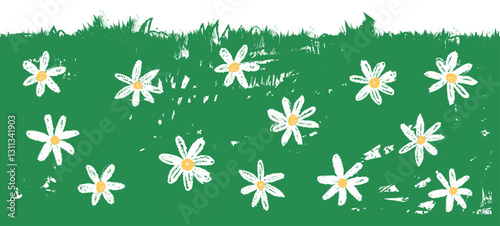 Daisy flower field on grass  crayon grunge texture kid doodle children childlike drawing background